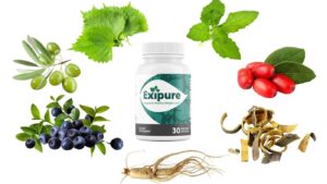 Exipure weight loss | Exipure | All Product Reviews