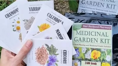 Medicinal Seed Kit Reviews – Does It Work? Nicole Apelian Garden Seed Kit Worth It?